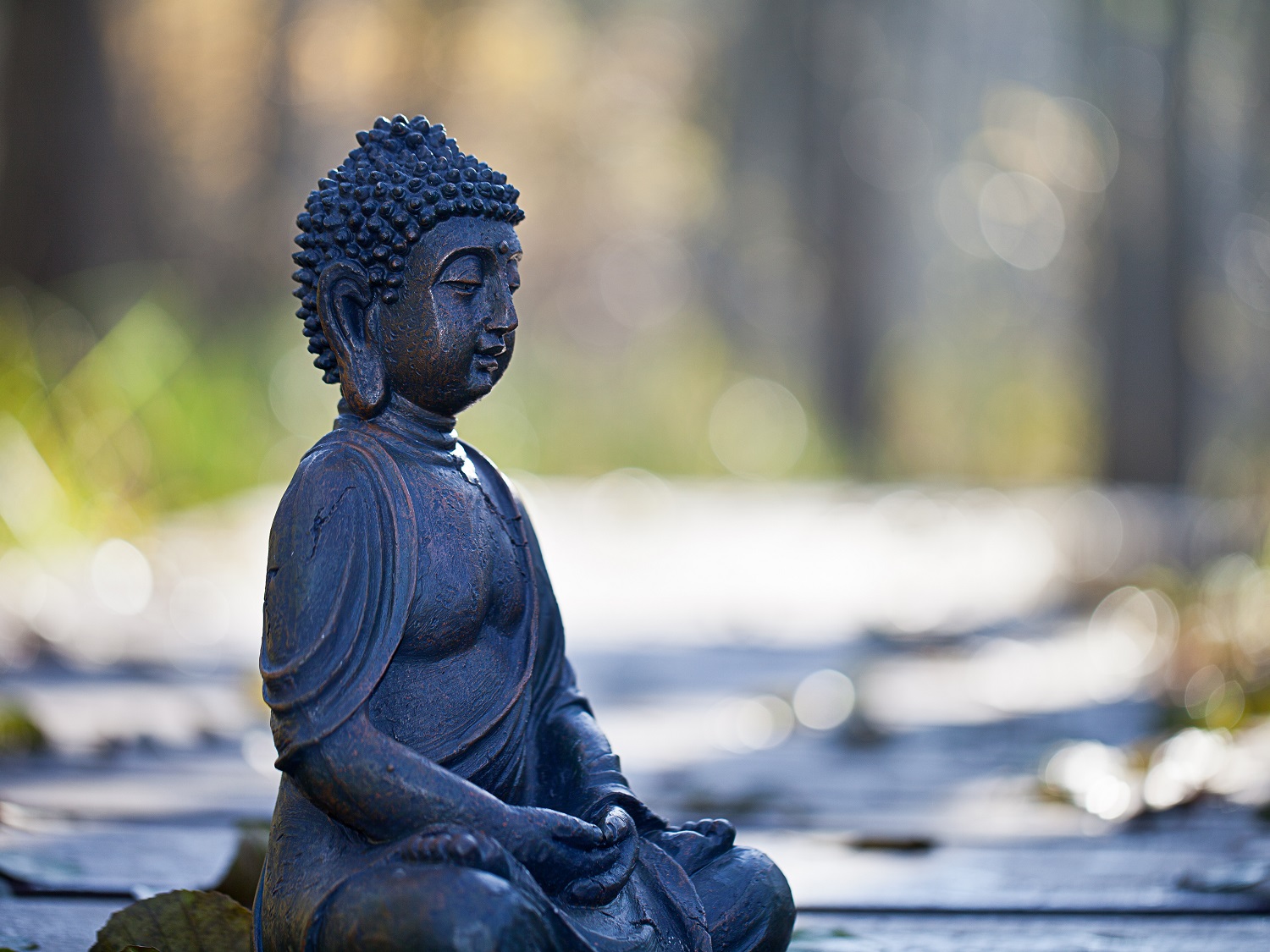 Selbstmitgefühl, eine Art innerer Komplizenschaft, ein zugewandter konstruktiver Umgang mit dem eigenen Sein und Tun, kann Führungskräfte und Mitarbeitende produktiver und resilienter arbeiten lassen. Foto: Pixelrohkost/AdobeStock