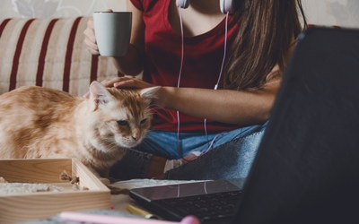 Junge Frau mit Laptop und Katze auf Sofa