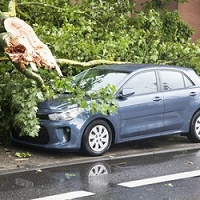 Ast beschädigt parkendes Auto