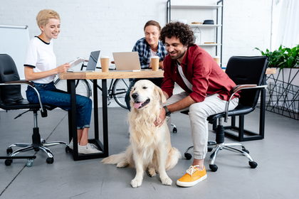 Büro, drei Mitarbeiter und Hund, den einer der Angestellten streichelt