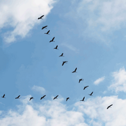 Foto: Willowpix/istock