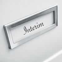 Interim Manager im HR-Bereich werden derzeit häufig engagiert.
Foto: © pixarno/Fotolia.de