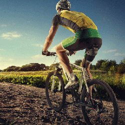 Mountainbiker auf Rad