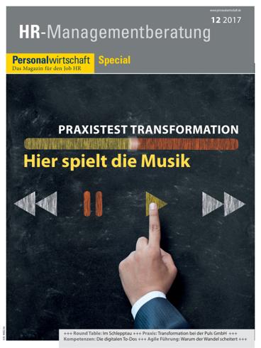 Sonderheft Managementberatung 2017-cover