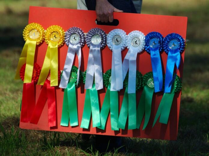 Von vielen Arbeitgebern werden Siegel wie Orden vor sich her getragen. Bei den Bewerberinnen und Bewerbern sind sie oft weder bekannt noch glaubwürdig. (Foto: Kai Krueger - stock.adobe.com)